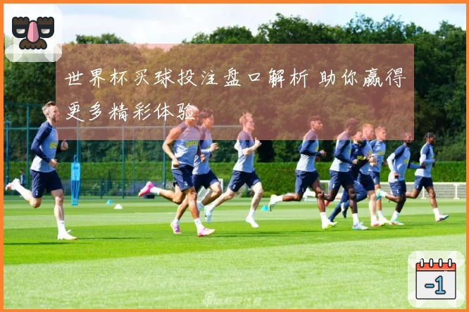 世界杯买球投注盘口解析 助你赢得更多精彩体验