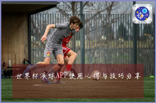世界杯滚球APP使用心得与技巧分享