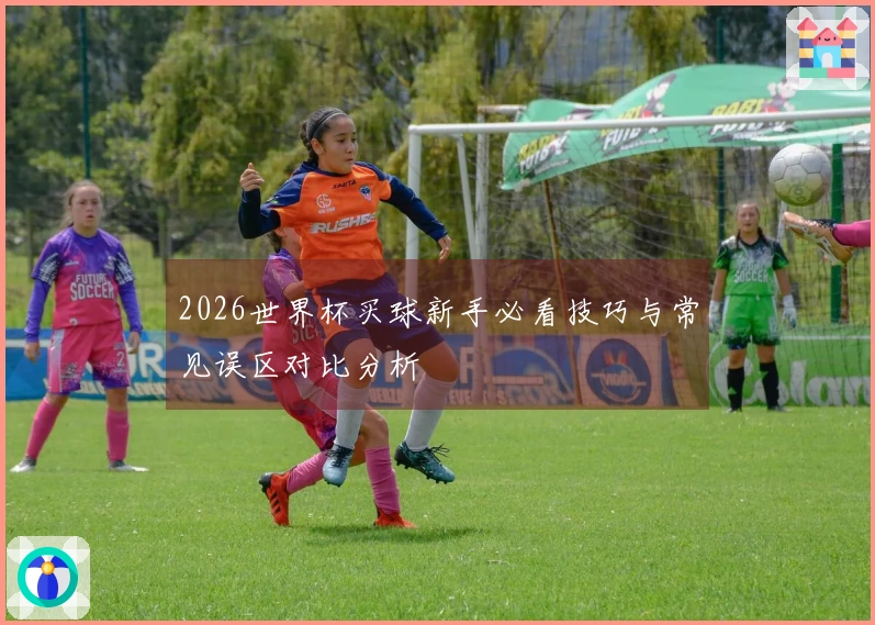 2026世界杯买球新手必看技巧与常见误区对比分析