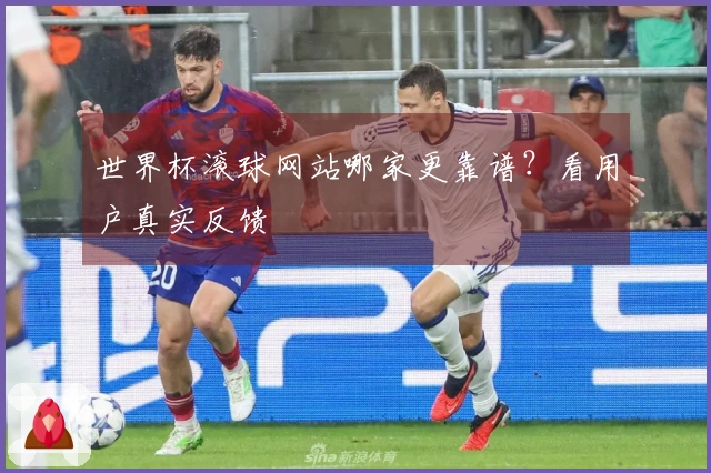 世界杯滚球网站哪家更靠谱？看用户真实反馈