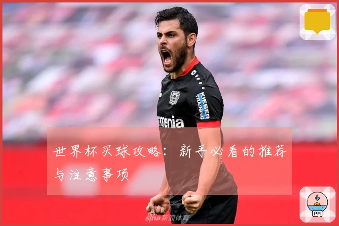 世界杯买球攻略：新手必看的推荐与注意事项
